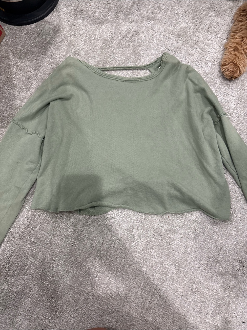 aerie Sage Green Cropped Long-Sleeve Sweatshirt